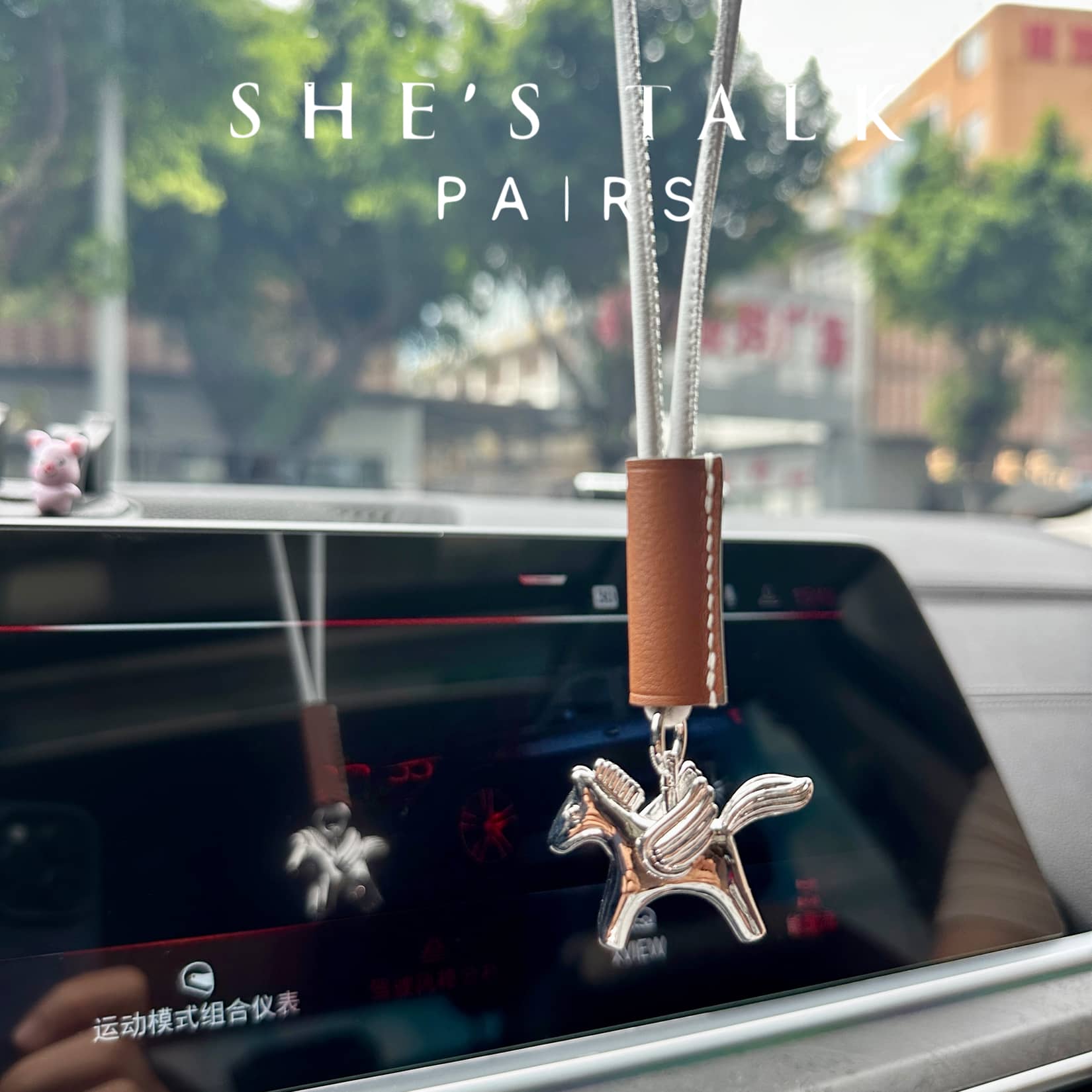Pegasus-Car decoration