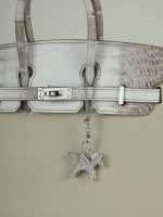 Sparkling Platinum Pegasus Steel Chain - Image 2